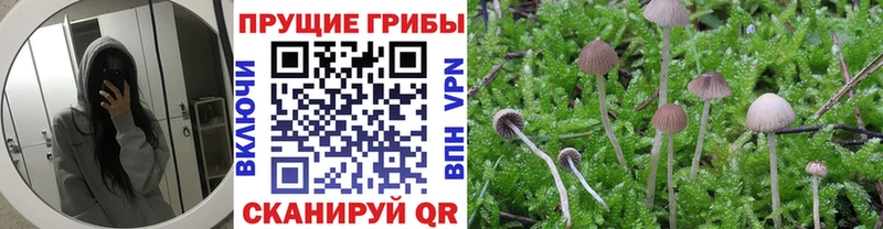 Галлюциногенные грибы Magic Shrooms  Духовщина 